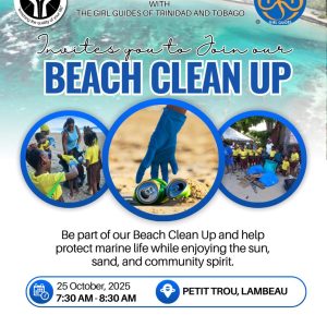 Beach clean up